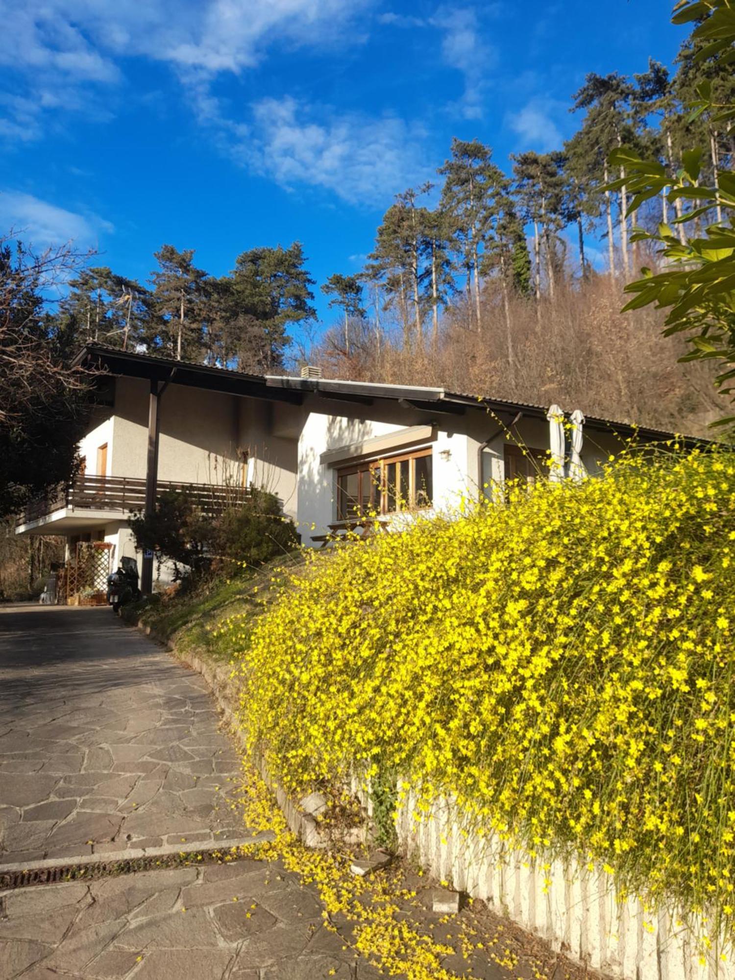 Bed and Breakfast Marzola Trento Exterior foto